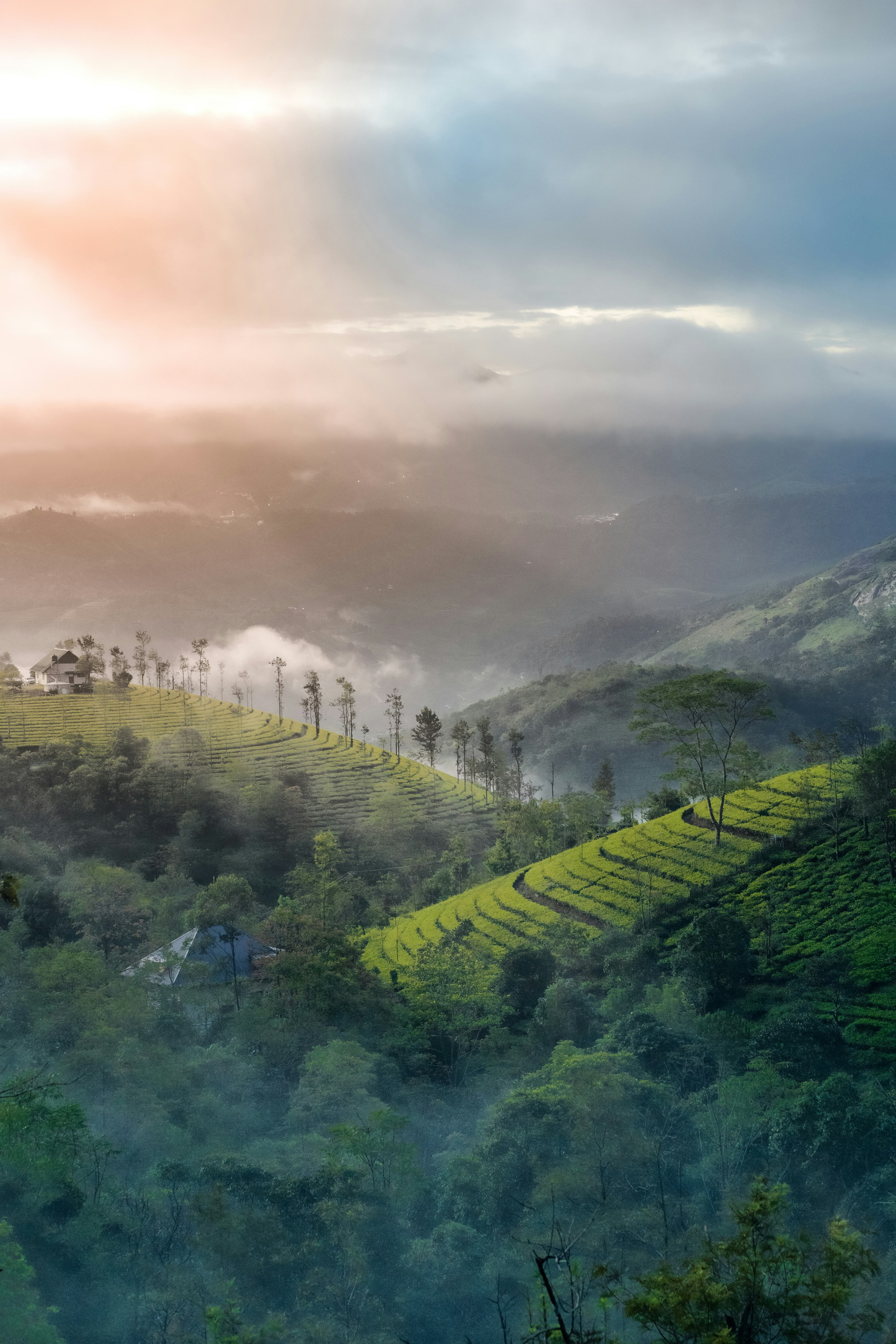 Vagamon